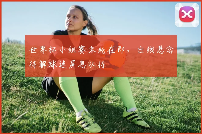 世界杯小组赛末轮在即，出线悬念待解球迷屏息以待