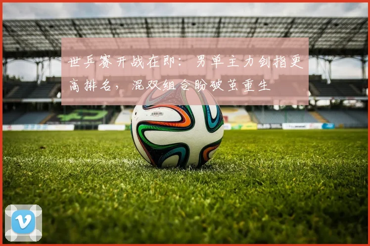 世乒赛开战在即：男单主力剑指更高排名，混双组合盼破茧重生