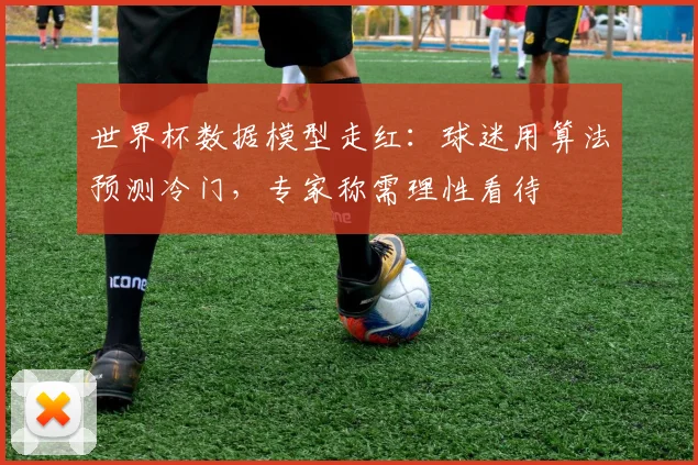 世界杯数据模型走红：球迷用算法预测冷门，专家称需理性看待