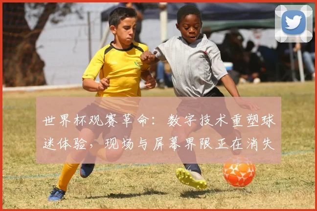 世界杯观赛革命：数字技术重塑球迷体验，现场与屏幕界限正在消失