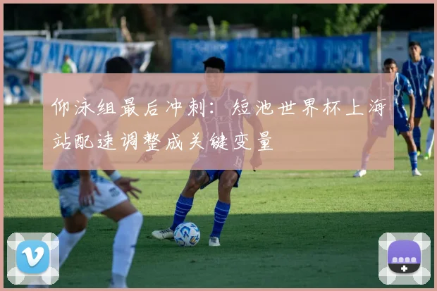 仰泳组最后冲刺：短池世界杯上海站配速调整成关键变量