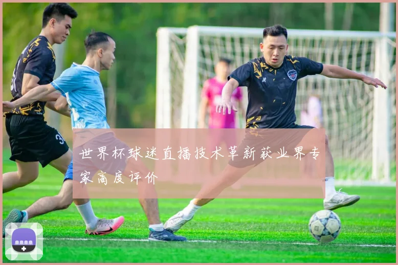 世界杯球迷直播技术革新获业界专家高度评价