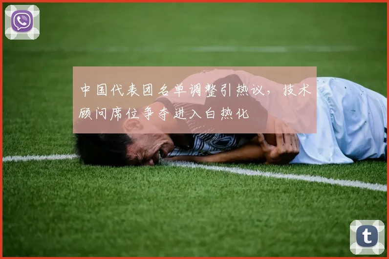 中国代表团名单调整引热议，技术顾问席位争夺进入白热化